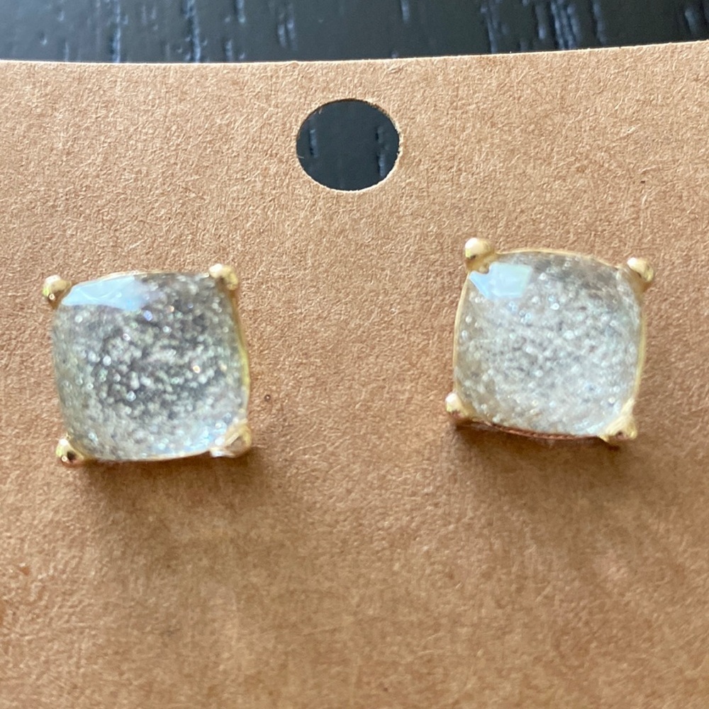 Silver glitter stud earrings-NWT